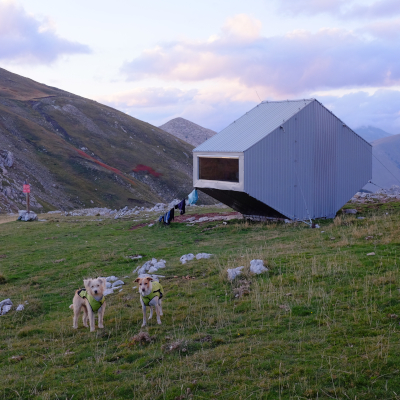 Bivouac