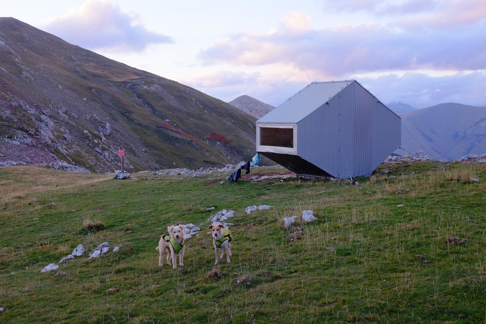 Bivouac