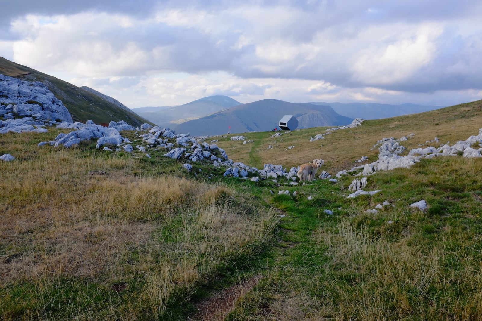 Bivouac