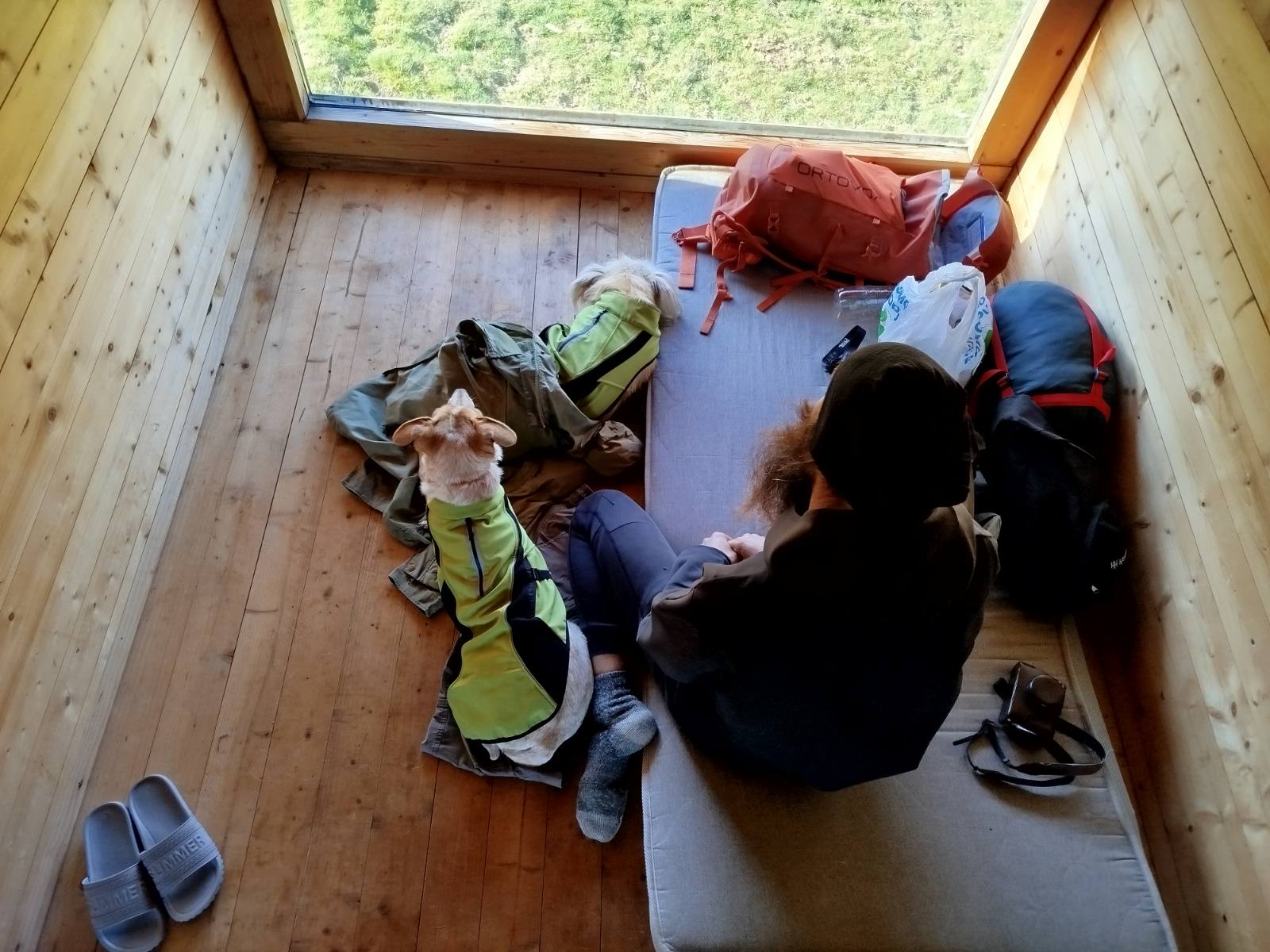 Bivouac