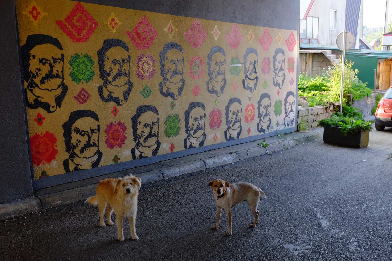The man with the two dogs