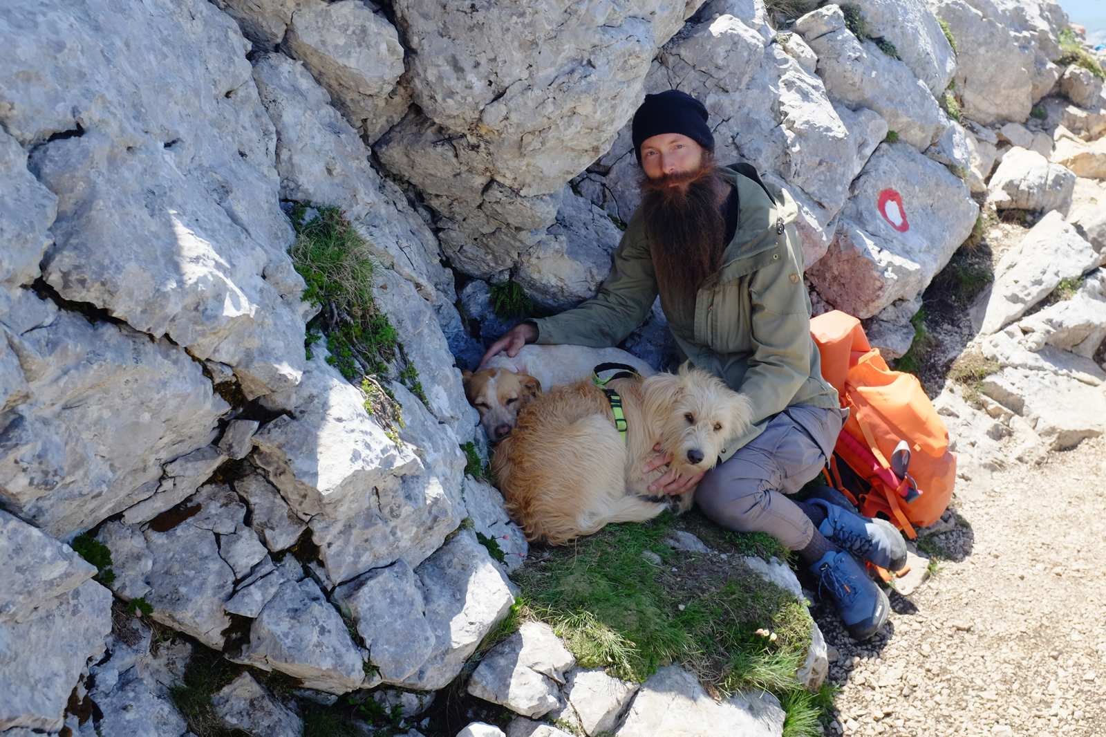 The man with the two dogs