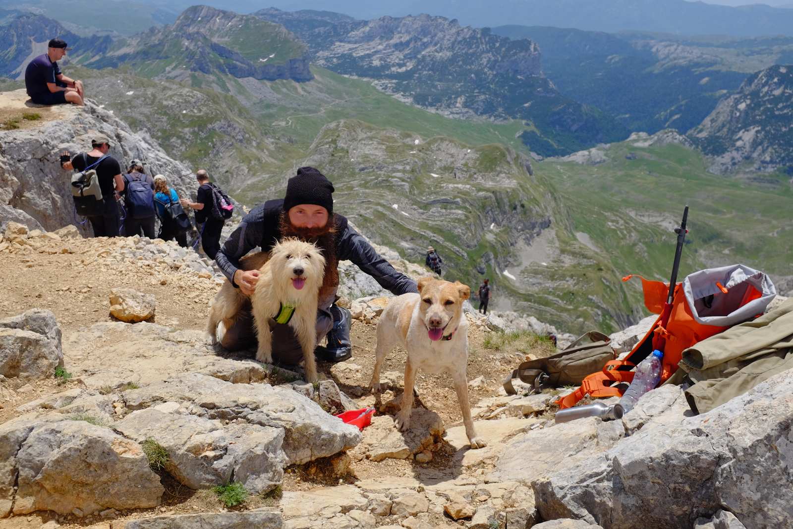 The man with the two dogs