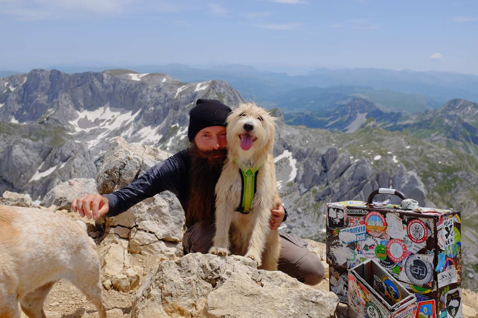 The man with the two dogs